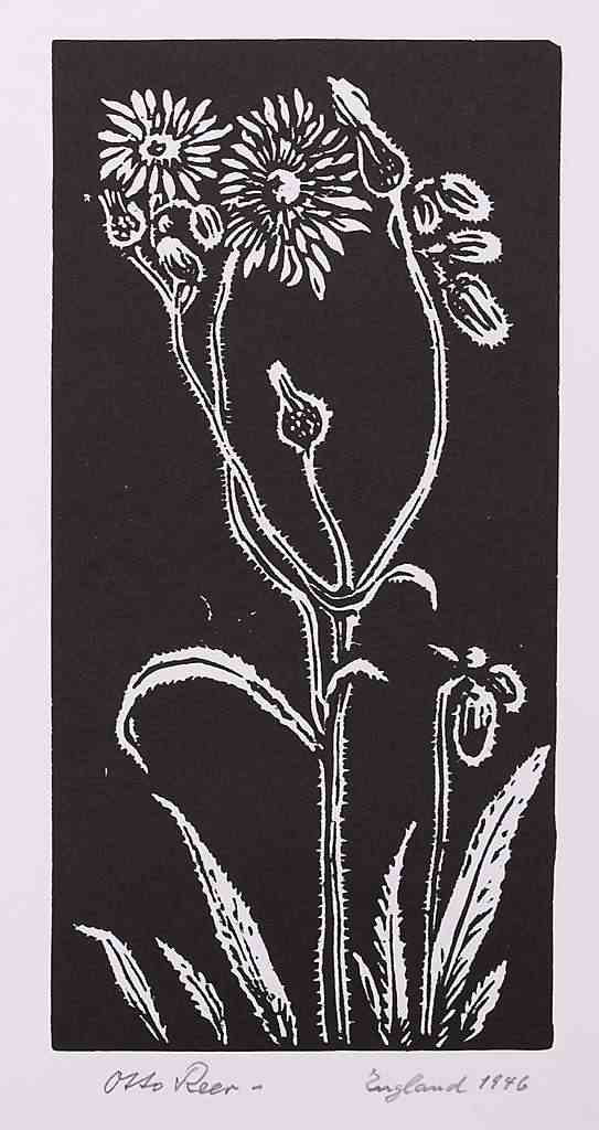 Distel / England 1946